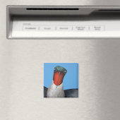 Ty, een robijnrode kolibrie magneet (Insitu (Vaatwasser))