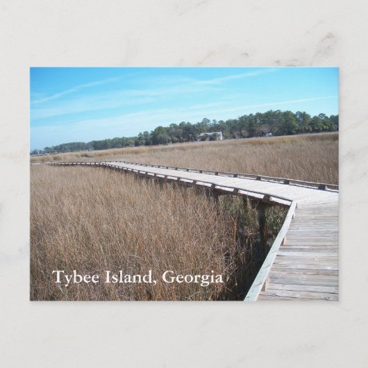 Tybee Island Georgia GA Briefkaart Foto (Voorkant)