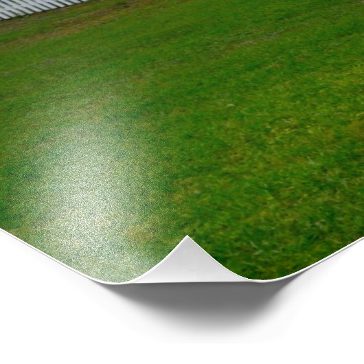 Tybee Island, Georgia Lighthouse Foto Afdruk (Hoek)