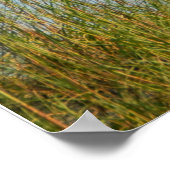 Tybee Island Lighthouse poster (Hoek)