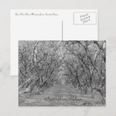 Tyee Hazelnoten Briefkaart (Voorkant / Achterkant)