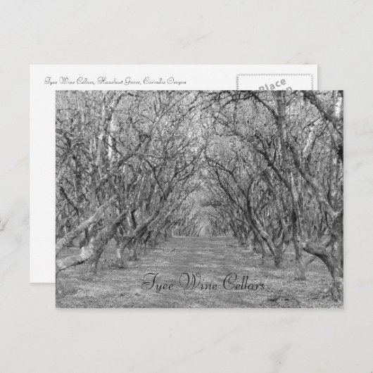 Tyee Hazelnoten Briefkaart (Voorkant / Achterkant)