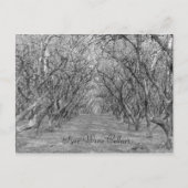 Tyee Hazelnoten Briefkaart (Voorkant)