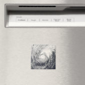 Tyfoon Dolphin op het Filipijnse Zee Magneet (Insitu (Vaatwasser))