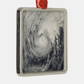 Tyfoon Dolphin op het Filipijnse Zee Metalen Ornament (Rechts)