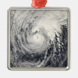 Tyfoon Dolphin op het Filipijnse Zee Metalen Ornament