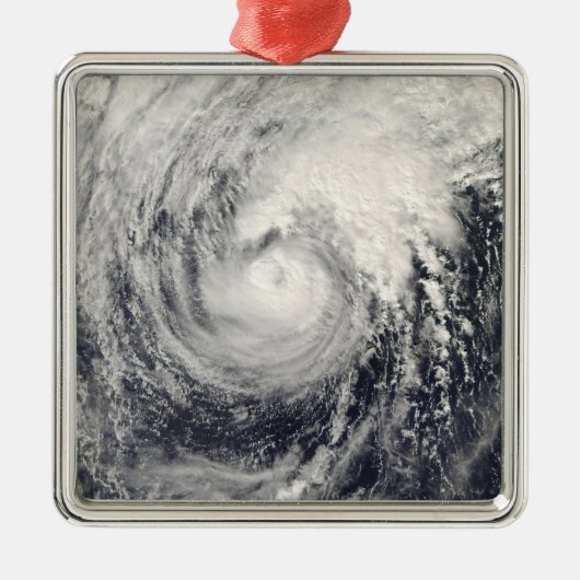 Tyfoon Dolphin op het Filipijnse Zee Metalen Ornament (Voorkant)