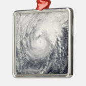 Tyfoon Dolphin op het Filipijnse Zee Metalen Ornament (Links)