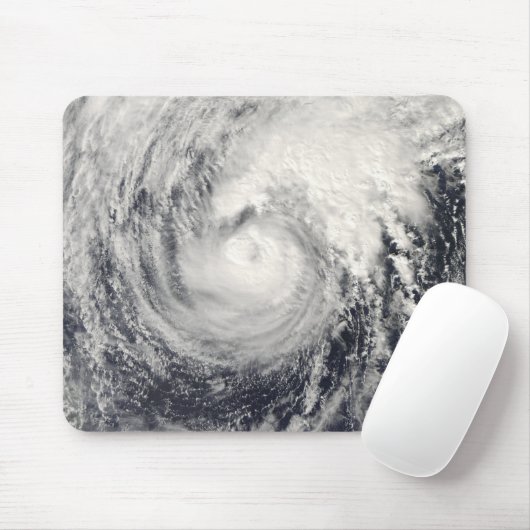 Tyfoon Dolphin op het Filipijnse Zee Muismat (Met muis)