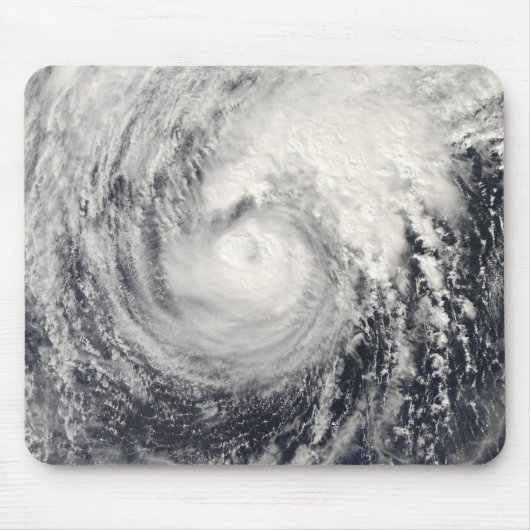 Tyfoon Dolphin op het Filipijnse Zee Muismat (Voorkant)