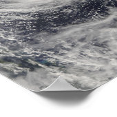 Tyfoon Dolphin op het Filipijnse Zee Poster (Hoek)