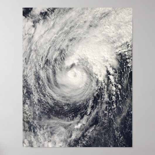 Tyfoon Dolphin op het Filipijnse Zee Poster (Voorkant)