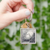 Tyfoon Dolphin op het Filipijnse Zee Sleutelhanger (Hand)