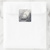 Tyfoon Dolphin op het Filipijnse Zee Vierkante Sticker (Tas)