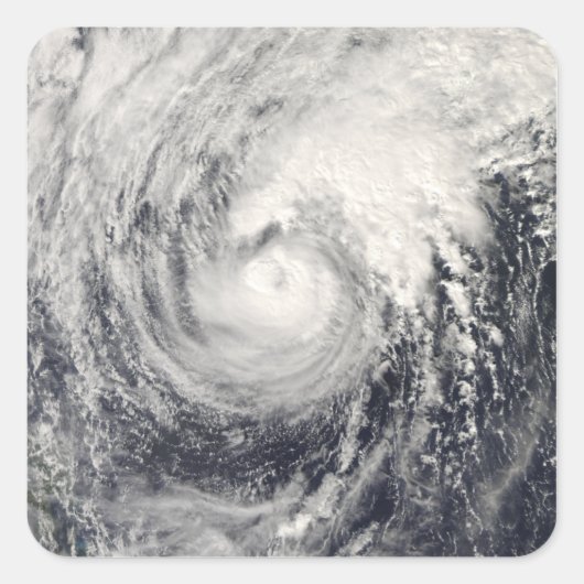 Tyfoon Dolphin op het Filipijnse Zee Vierkante Sticker (Voorkant)