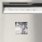 Tyfoon Fengshen over de Filipijnen Magneet (Insitu (Vaatwasser))