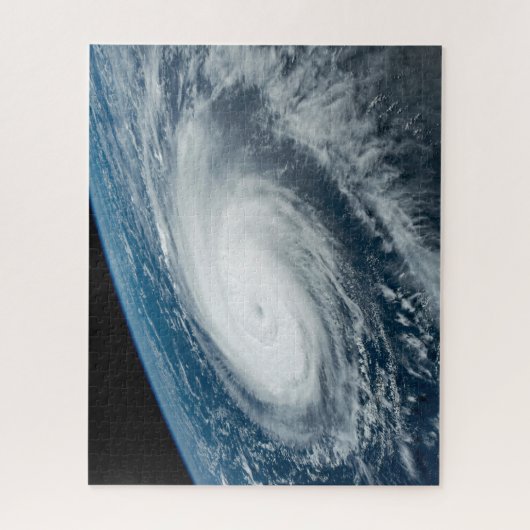 Tyfoon Hinnamnor. Legpuzzel (Verticaal)