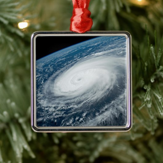 Tyfoon Hinnamnor. Metalen Ornament (Boom)