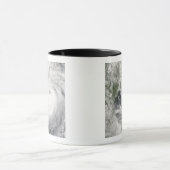 Tyfoon Prapiroon Mok (Midden)