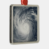 Tyfoon Taim Metalen Ornament (Rechts)