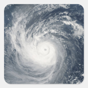 Tyfoon Taim Vierkante Sticker
