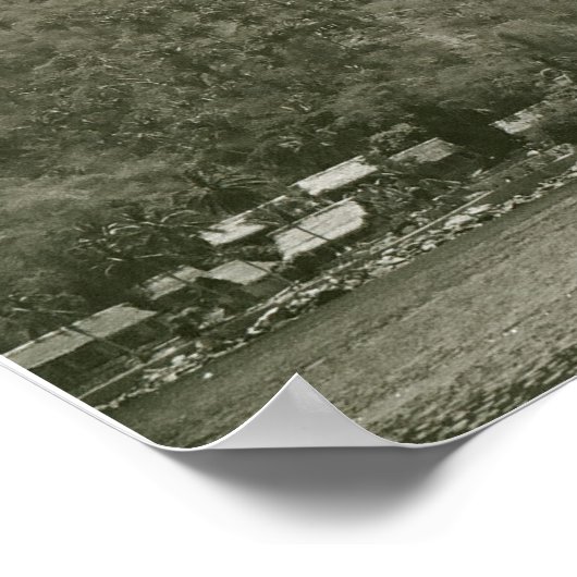 Tyler Buchanan Cabo Poster (Hoek)