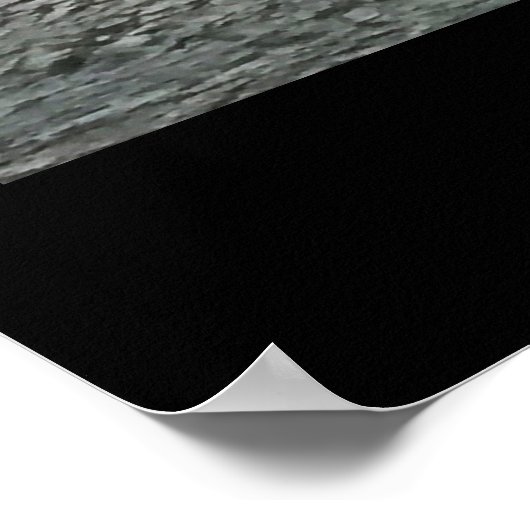 Tyler State Park Newtown PA Poster (Hoek)