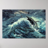 Tylosaurus Poster (Voorkant)