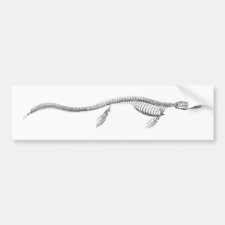 Tylosaurus Skeleton Bumpersticker