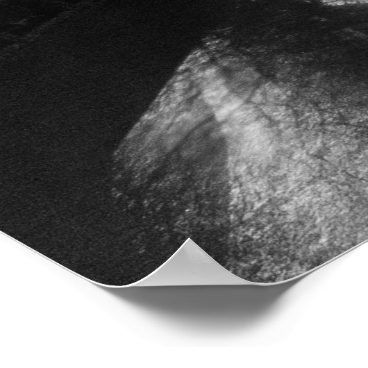 Tyne Bridge 's nachts Poster (Hoek)