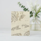 Typa, Macao, China Briefkaart (Staand voorkant)