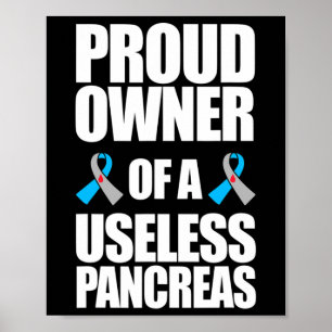 Type 1 Diabetes Awareness Proud Owner of a Useless Poster