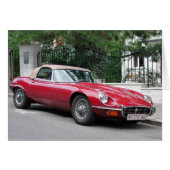 Type Jaguar E (Voorkant Horizontaal)