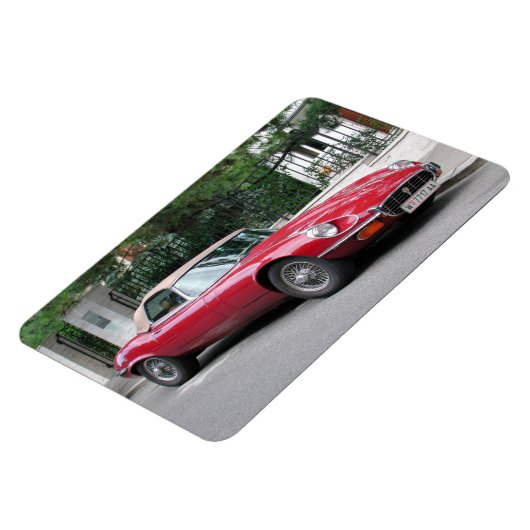 Type Jaguar E Magneet (Linkerzijde)