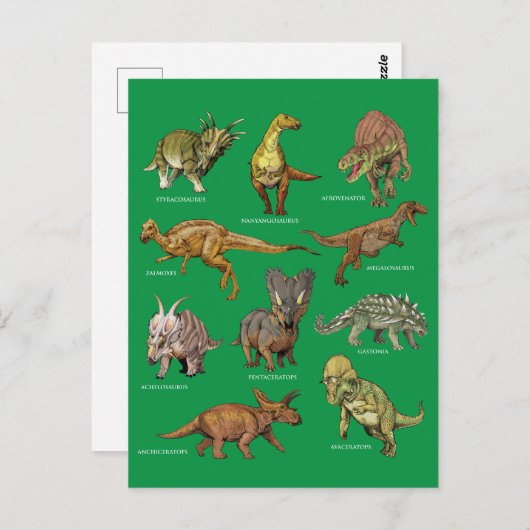 Typen dinosaurussen briefkaart (Voorkant / Achterkant)