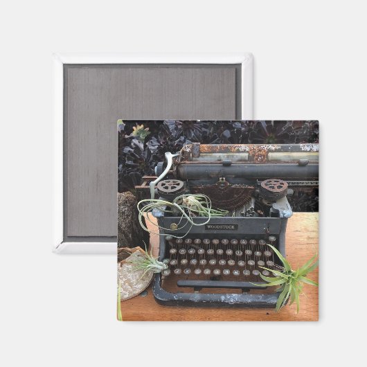 Typewriter Air plant Magnet (Voorkant / Achterkant)