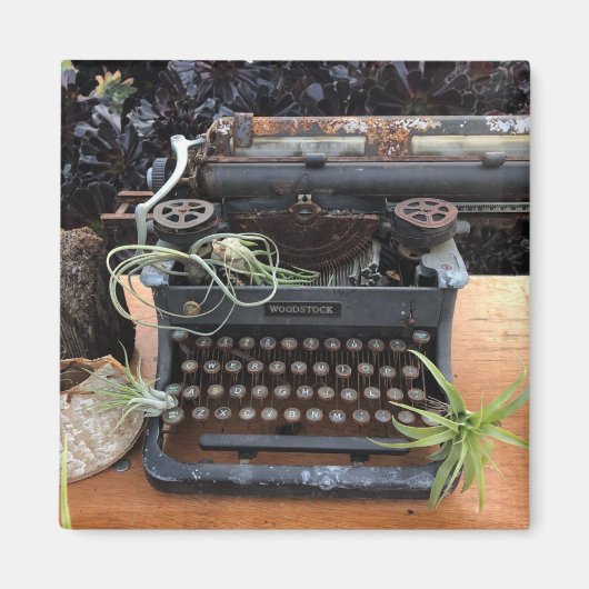 Typewriter Air plant Magnet (Voorkant)