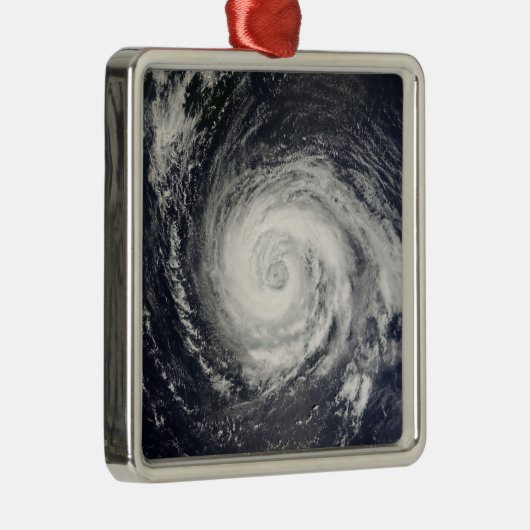 Typhoon Fitow Metalen Ornament (Rechts)