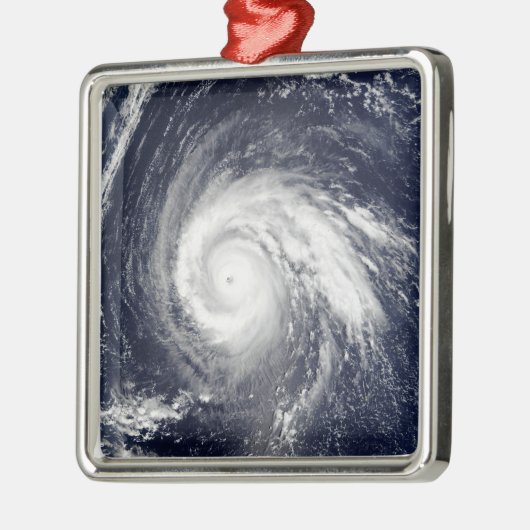 Typhoon Higos Metalen Ornament (Links)