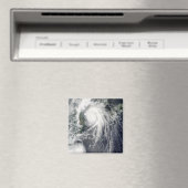 Typhoon Kompasu Magneet (Insitu (Vaatwasser))