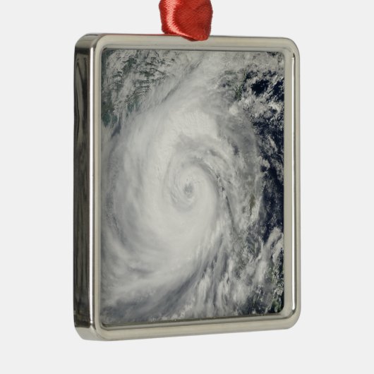 Typhoon Megi 2 Metalen Ornament (Rechts)