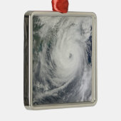 Typhoon Megi 4 Metalen Ornament (Rechts)