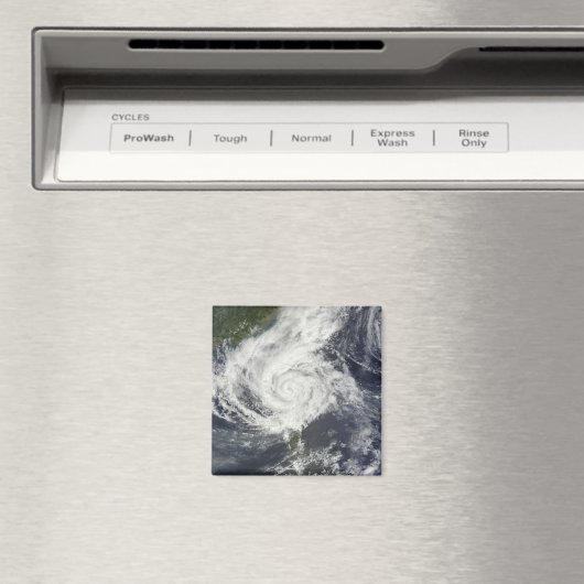 Typhoon Parma Magneet (Insitu (Vaatwasser))