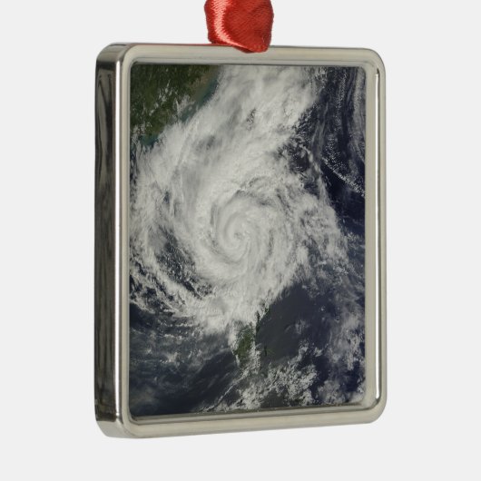 Typhoon Parma Metalen Ornament (Rechts)