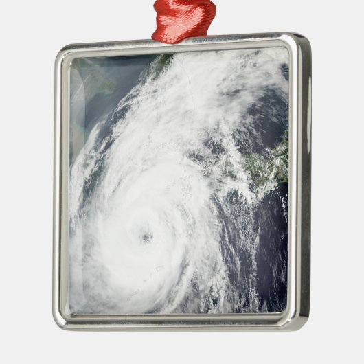 Typhoon Rusa 2 Metalen Ornament (Links)
