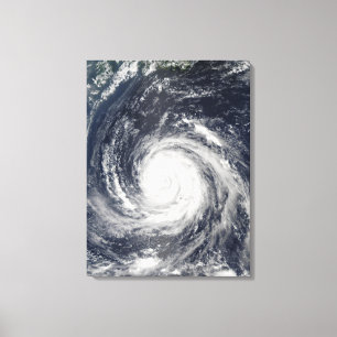 Typhoon Rusa Canvas Afdruk