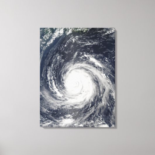 Typhoon Rusa Canvas Afdruk (Voorkant)