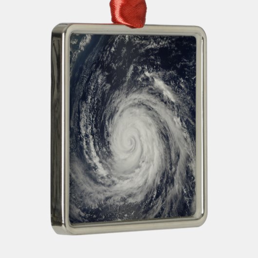 Typhoon Rusa Metalen Ornament (Rechts)