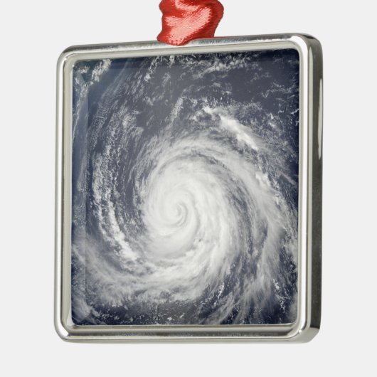 Typhoon Rusa Metalen Ornament (Links)
