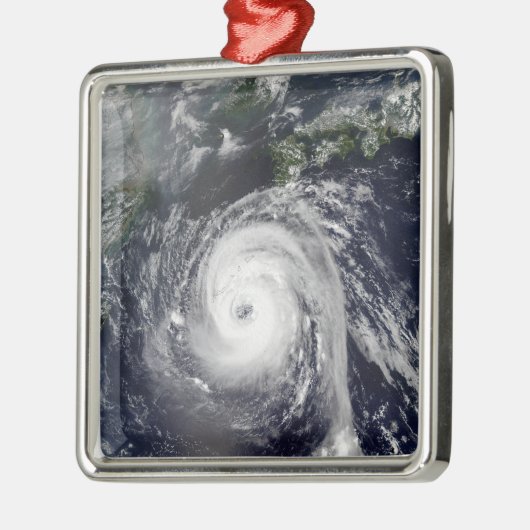 Typhoon Sinlaku 2 Metalen Ornament (Links)